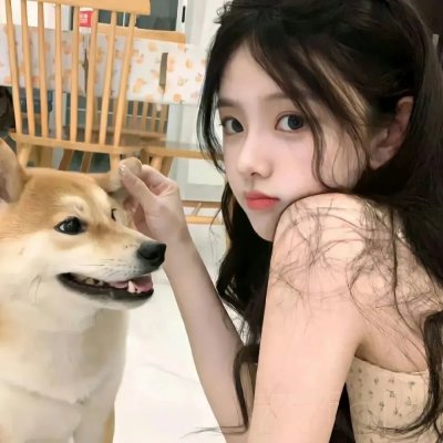 禁宫龙虎斗